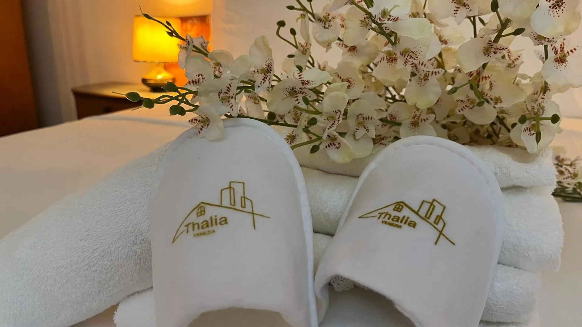 Thalia Venezia Appartamento Accogliente Mestre Apartment